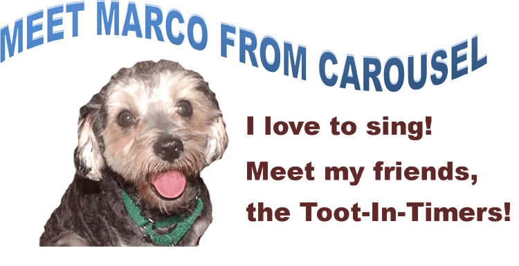 meetmarco